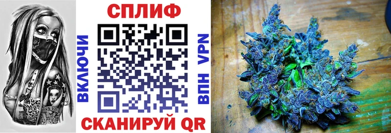 ОМГ ОМГ tor Иннополис Бошки Шишки VHQ